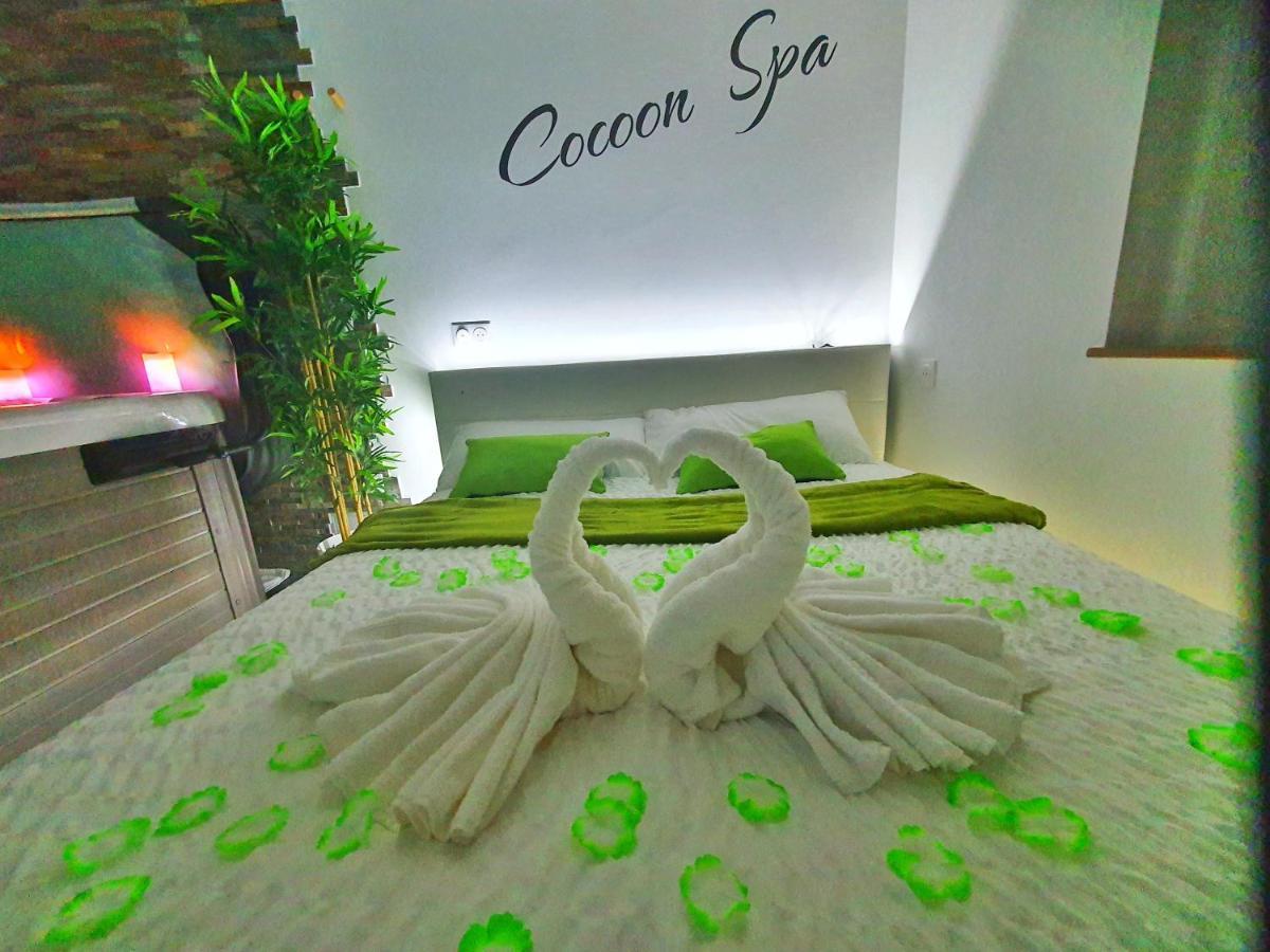 -Gite Cocoon Spa-Jacuzzi-Jardin-Parking Prive-Climatisation Holtzwihr Экстерьер фото